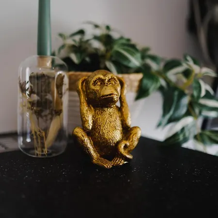 Sohana House I Lifestyle Appartement *